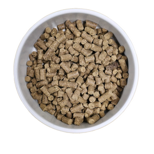 ceramicl bowl filled with Wild Cold-Pressed Dog Food pellets, showcasing nutrient-rich, grain-free kibble for dogs