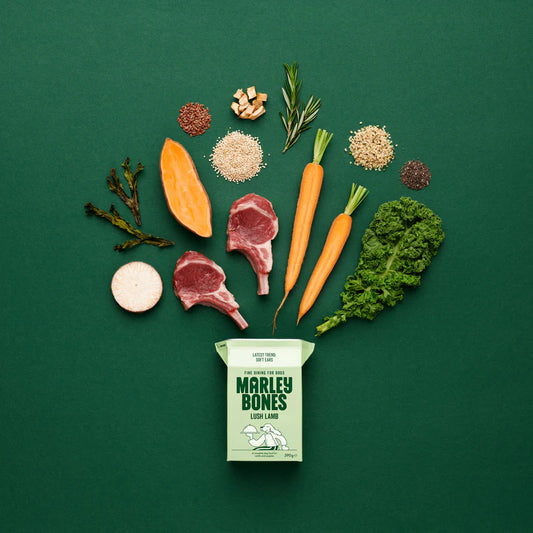 Marley Bones Lamb Natural Dog Food