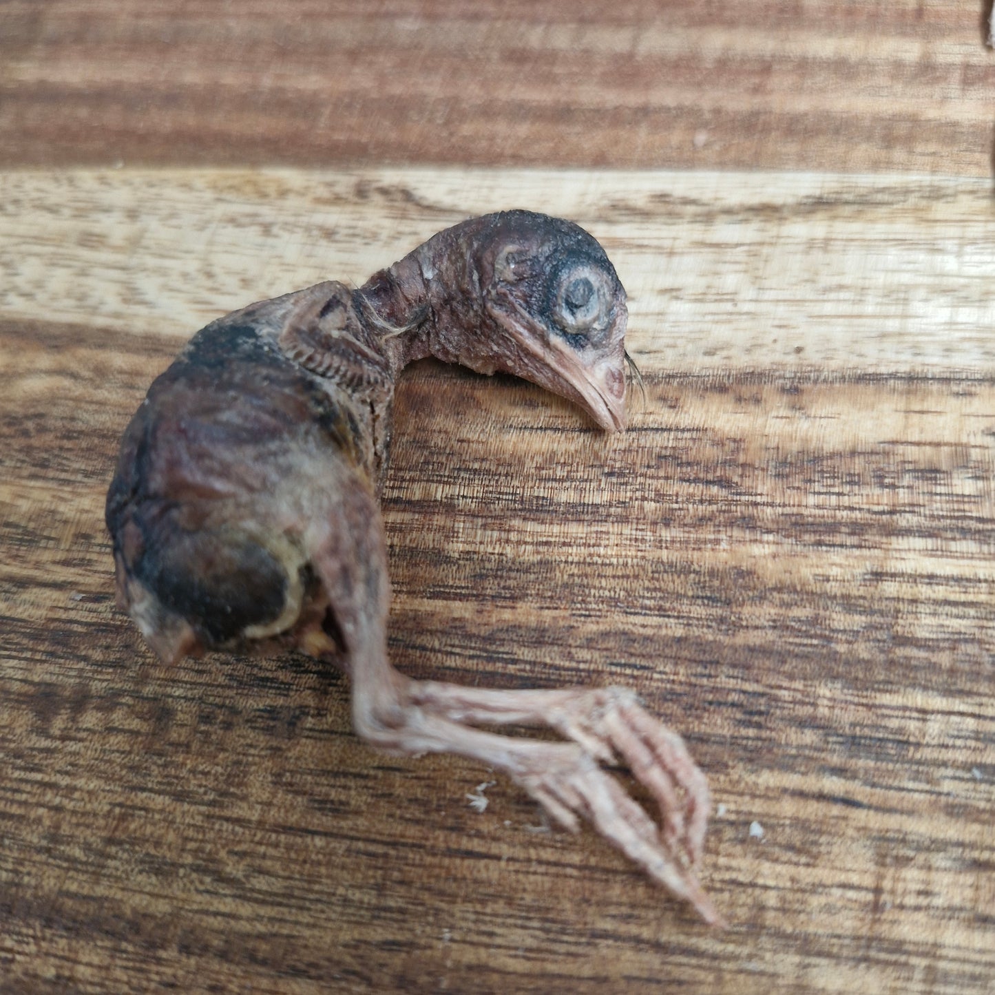 Freeze Dried Whole Quail
