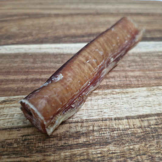 Premium Pizzle/Bully Stick
