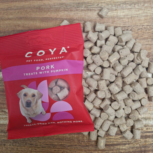 Coya Freeze Dried Pork & Pumpkin